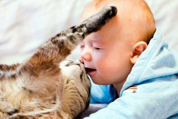 Не разрешайте детям и домашним животным "целоваться"